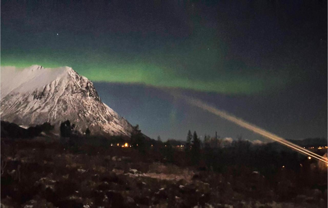 Pet Friendly Home In Sortland With Wifi Flesnes Exterior photo